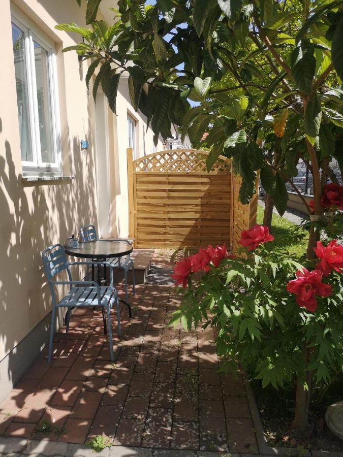 Terrasse Wohnungen Mit Parking In Zentrum بادن المظهر الخارجي الصورة