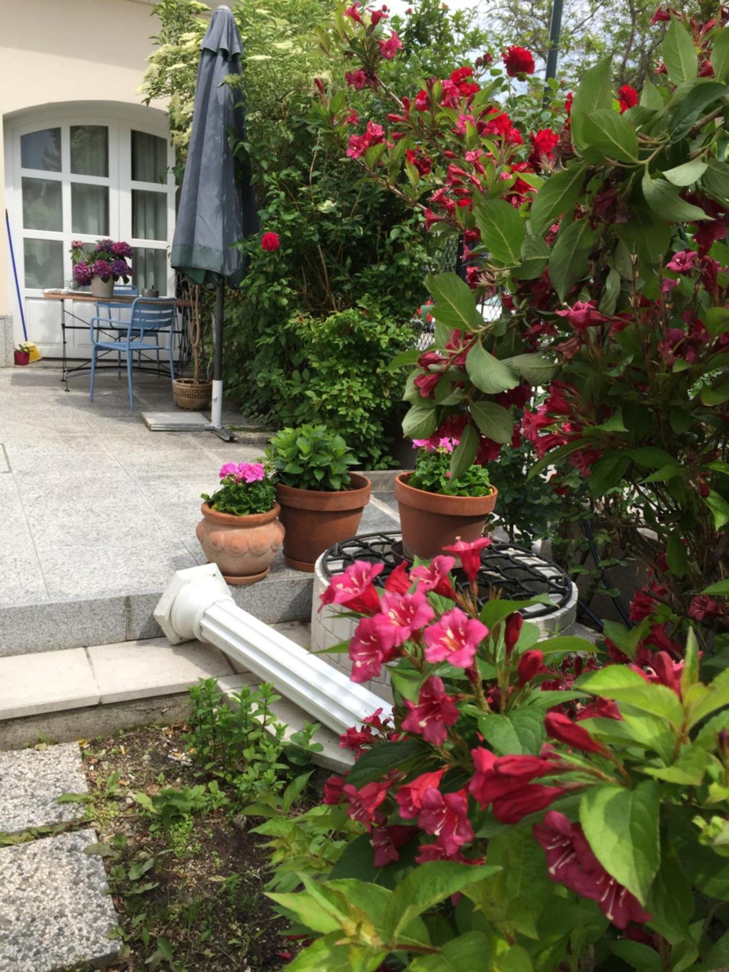 Terrasse Wohnungen Mit Parking In Zentrum بادن المظهر الخارجي الصورة