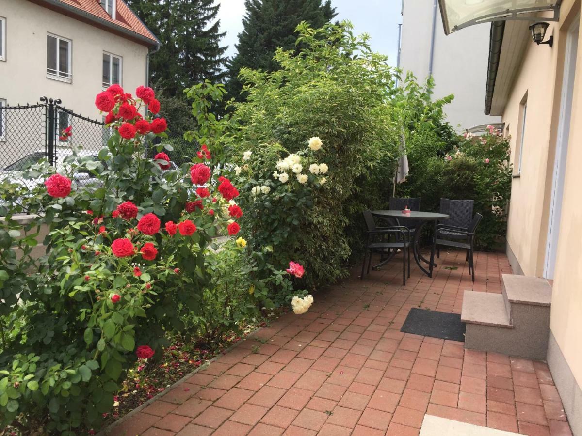 Terrasse Wohnungen Mit Parking In Zentrum بادن المظهر الخارجي الصورة